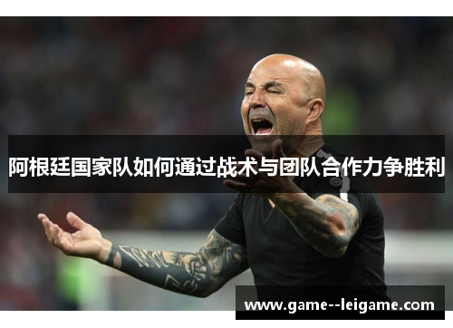 阿根廷国家队如何通过战术与团队合作力争胜利
